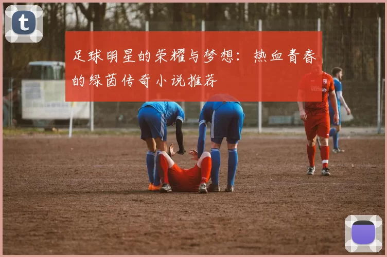 足球明星的荣耀与梦想：热血青春的绿茵传奇小说推荐