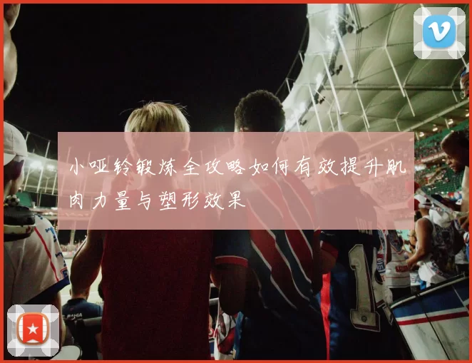 小哑铃锻炼全攻略如何有效提升肌肉力量与塑形效果