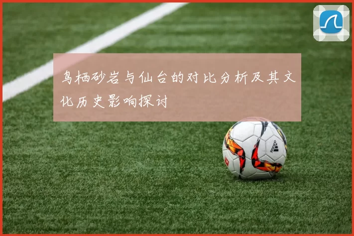 鸟栖砂岩与仙台的对比分析及其文化历史影响探讨