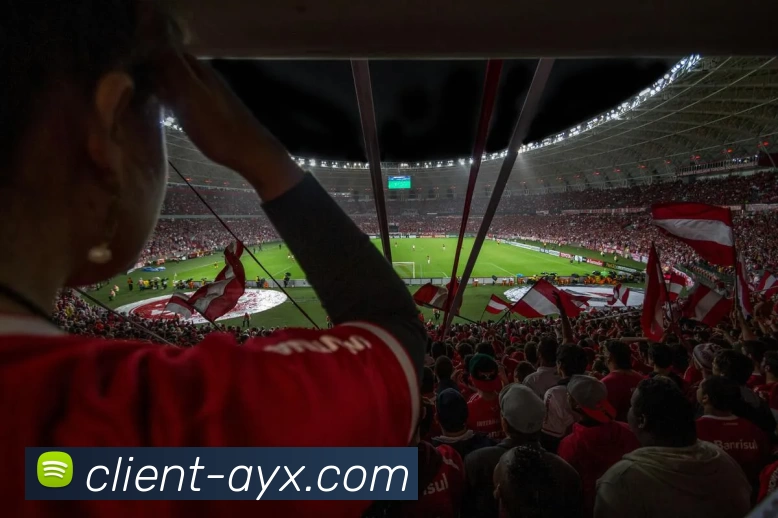 爱游戏发展历程